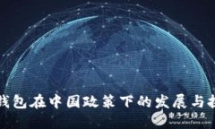 TP钱包在中国政策下的发展