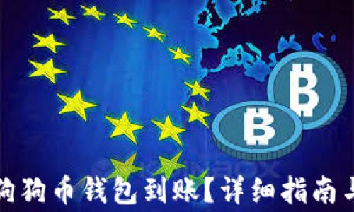 
如何确认狗狗币钱包到账？详细指南与注意事项