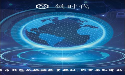 比特币钱包的地址数量揭秘：你需要知道的一切