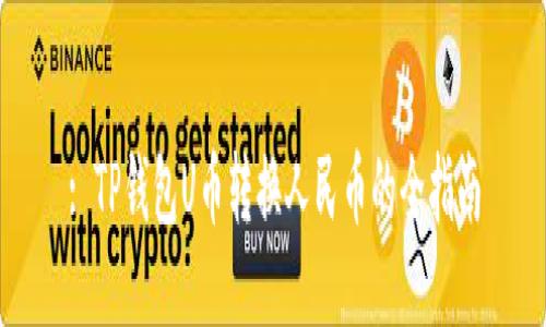 : TP钱包U币转换人民币的全指南