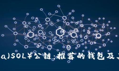 探秘Solana（SOL）公链：推荐的钱包及其选择指南