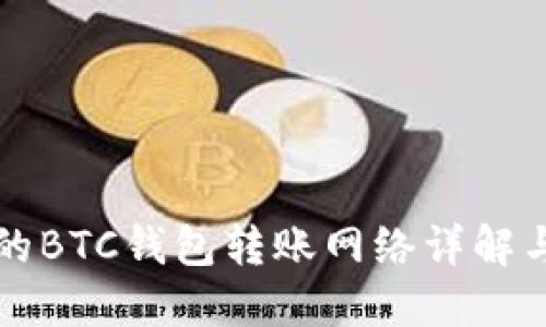 TP钱包中的BTC钱包转账网络详解与使用指南