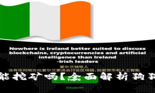 狗狗币钱包能挖矿吗？全面解析狗狗币挖矿机制