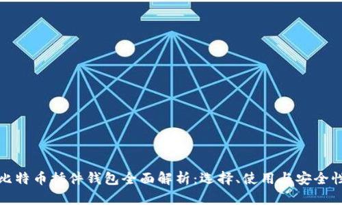 比特币插件钱包全面解析：选择、使用与安全性