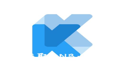 TokenPocket钱包如何获取BNB：全面指南与常见问题解答