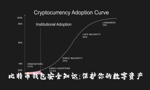 比特币钱包安全知识：保护你的数字资产