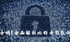 比特币钱包安全吗？全面解析比特币钱包的安全
