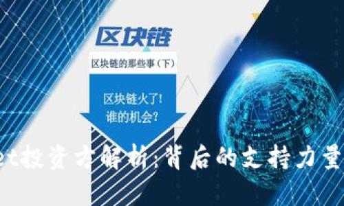 TokenPocket投资方解析：背后的支持力量与市场影响