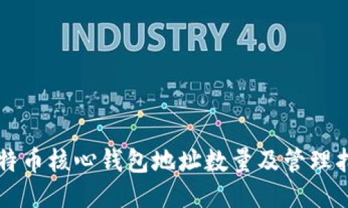 比特币核心钱包地址数量及管理指南