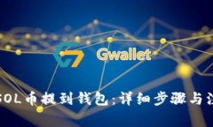 如何将SOL币提到钱包：详细步骤与注意事项
