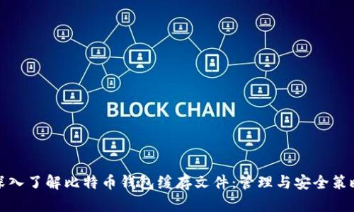 深入了解比特币钱包缓存文件：管理与安全策略