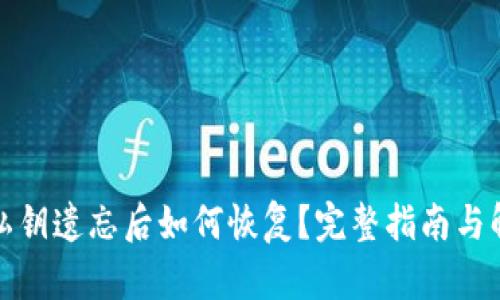 TP钱包私钥遗忘后如何恢复？完整指南与解决方案