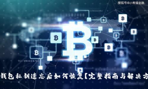 TP钱包私钥遗忘后如何恢复？完整指南与解决方案