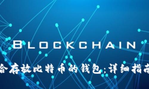 如何选择适合存放比特币的钱包：详细指南与最佳实践