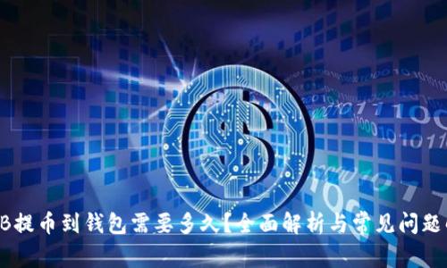 SHIB提币到钱包需要多久？全面解析与常见问题解答