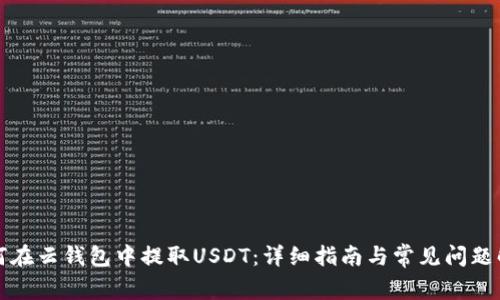 如何在云钱包中提取USDT：详细指南与常见问题解答
