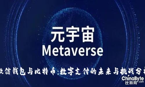 微信钱包与比特币：数字支付的未来与挑战分析