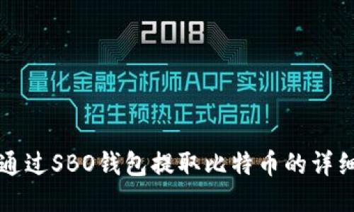 如何通过SBO钱包提取比特币的详细指南