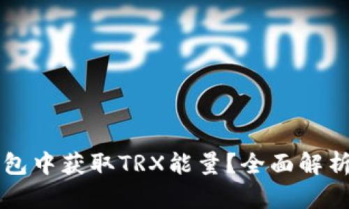 如何在TP钱包中获取TRX能量？全面解析与实用指南