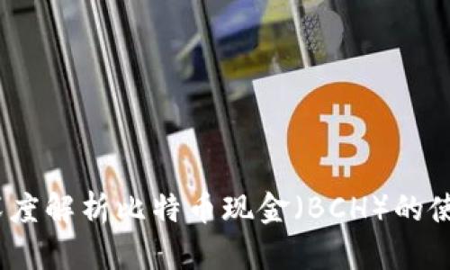 TP钱包：深度解析比特币现金（BCH）的使用与未来
