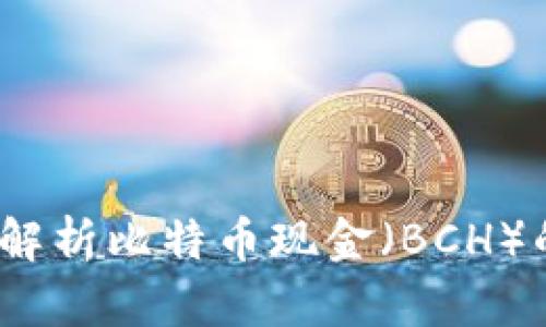 TP钱包：深度解析比特币现金（BCH）的使用与未来