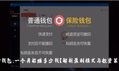 TP钱包：一个月能赚多少钱