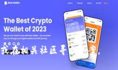   如何在TP钱包的观察模式