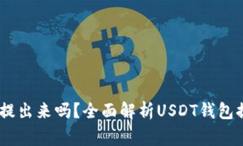 USDT钱包里的钱能提出来吗？全面解析USDT钱包提现流程及注意事项