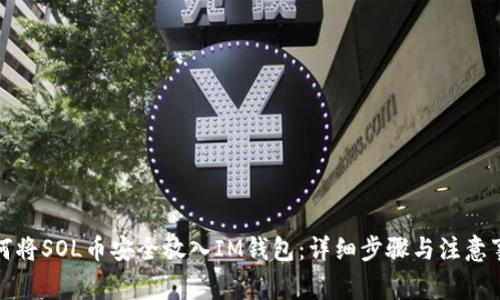 如何将SOL币安全放入IM钱包：详细步骤与注意事项