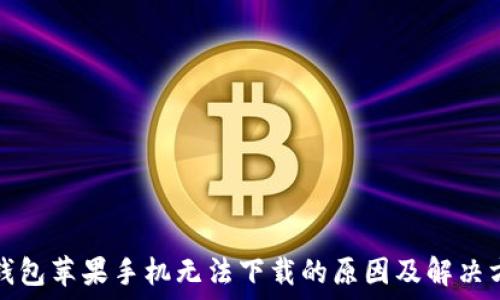   
TP钱包苹果手机无法下载的原因及解决方案