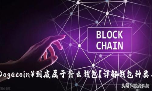 : 狗狗币（Dogecoin）到底属于什么钱包？详解钱包种类与选择指南