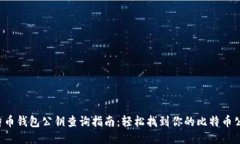 比特币钱包公钥查询指南