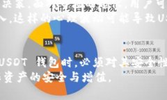   USDT 钱包的缺点与风险分
