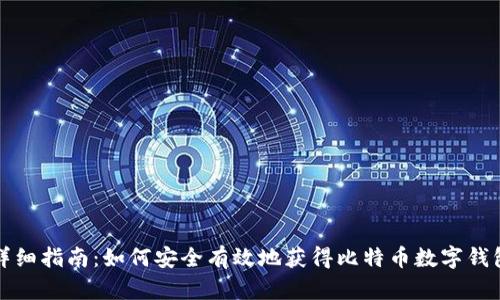 详细指南：如何安全有效地获得比特币数字钱包