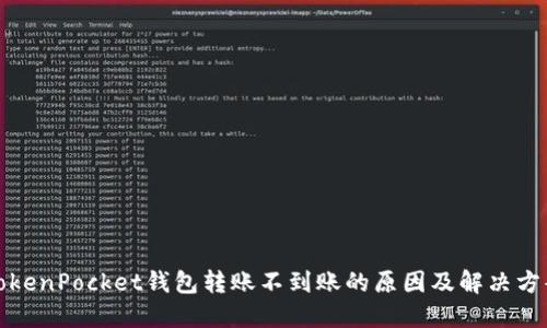 TokenPocket钱包转账不到账的原因及解决方案