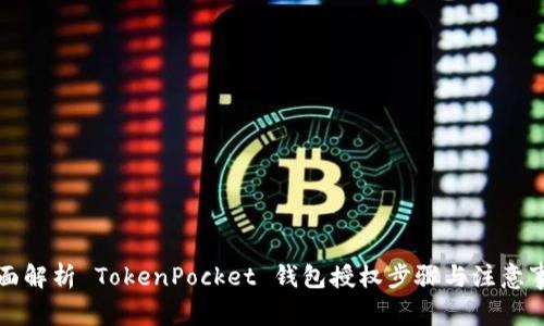全面解析 TokenPocket 钱包授权步骤与注意事项
