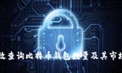 如何有效查询比特币钱包