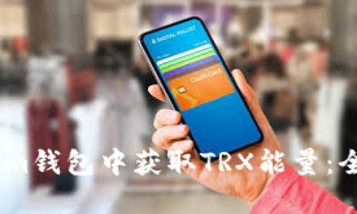 如何在Token.im钱包中获取TRX能量：全面指南与技巧
