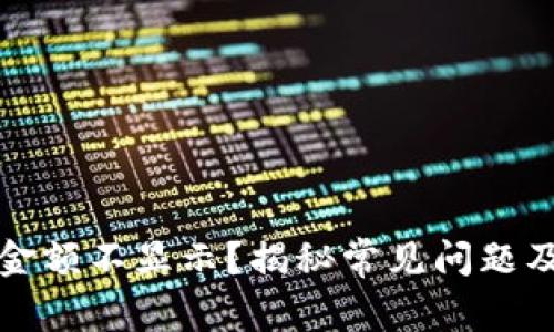 TP钱包币金额不显示？揭秘常见问题及解决方案