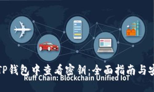 如何在TP钱包中查看密钥：全面指南与安全建议