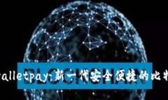 Instawalletpay：新一代安全便