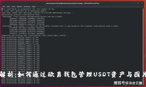 全面解析：如何通过欧易钱包管理USDT资产与图片功能