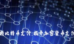 苹果钱包支持比特币支付