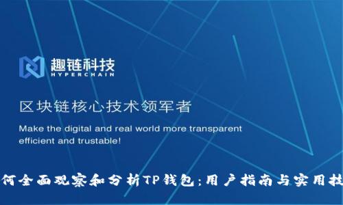 如何全面观察和分析TP钱包：用户指南与实用技巧
