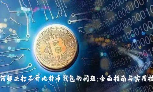 如何解决打不开比特币钱包的问题：全面指南与实用技巧