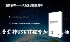 比特币钱包是否支持USDT？