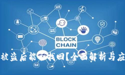 TP钱包被盗后能否找回？全面解析与应对策略