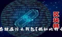 最早的比特币存储在什么