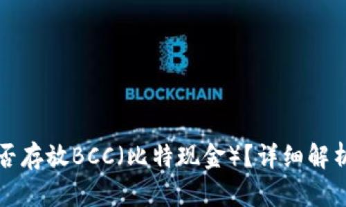 比特币钱包能否存放BCC（比特现金）？详细解析与投资小贴士