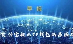 深入解析：支付宝提示T